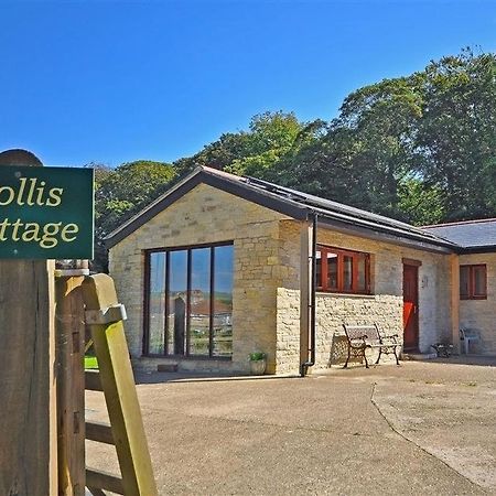Follis Cottage ويموث المظهر الخارجي الصورة